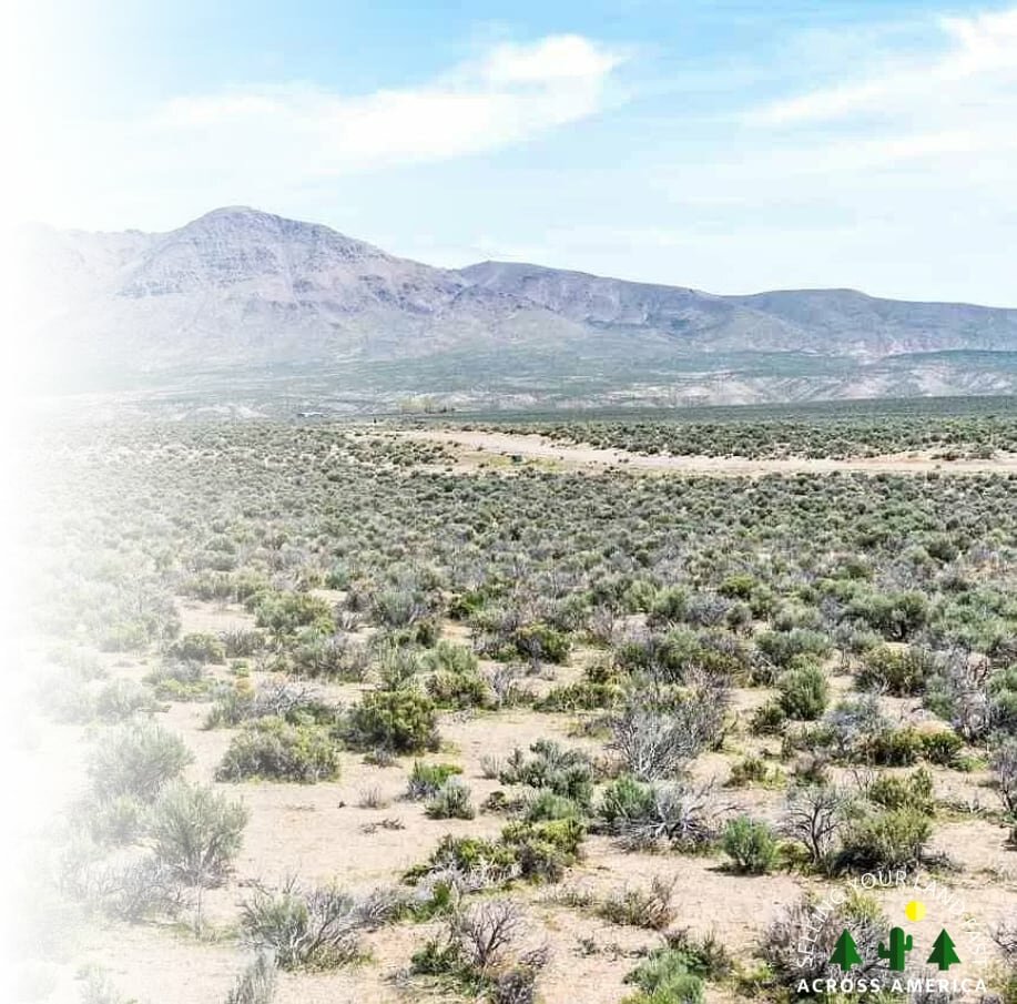 sell land in Nevada