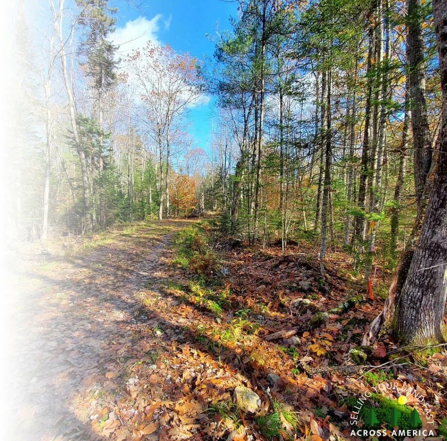 sell land in New Hampshire