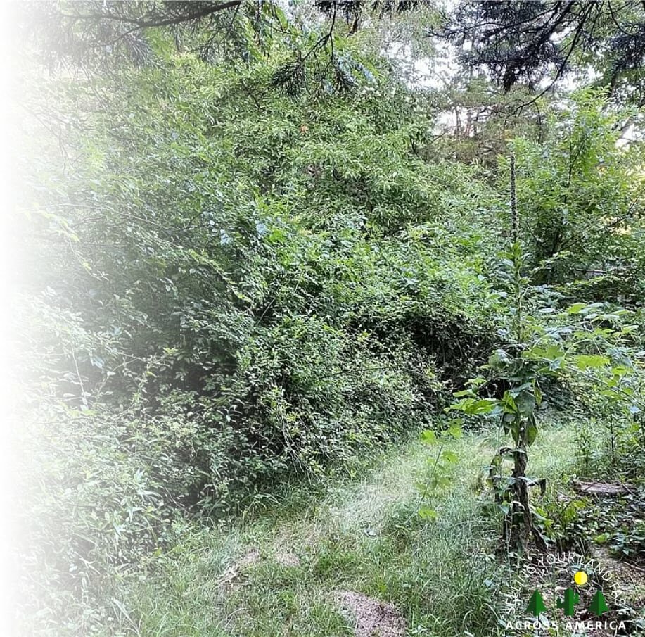sell land in Rhode Island