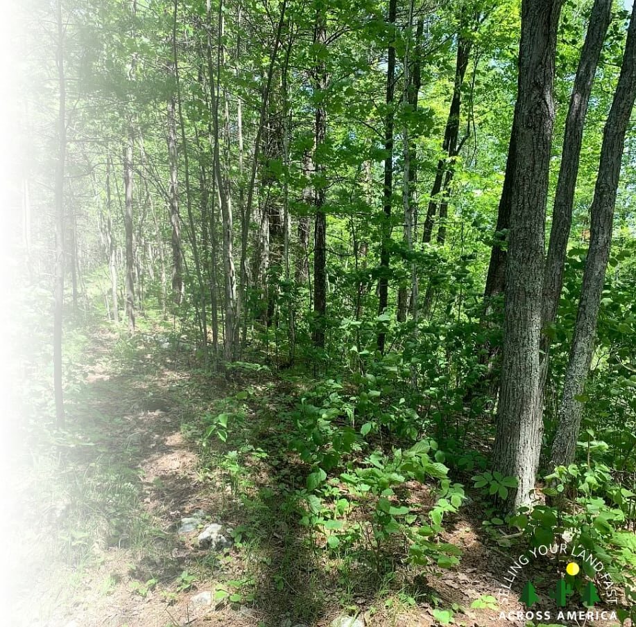 sell land in Wisconsin