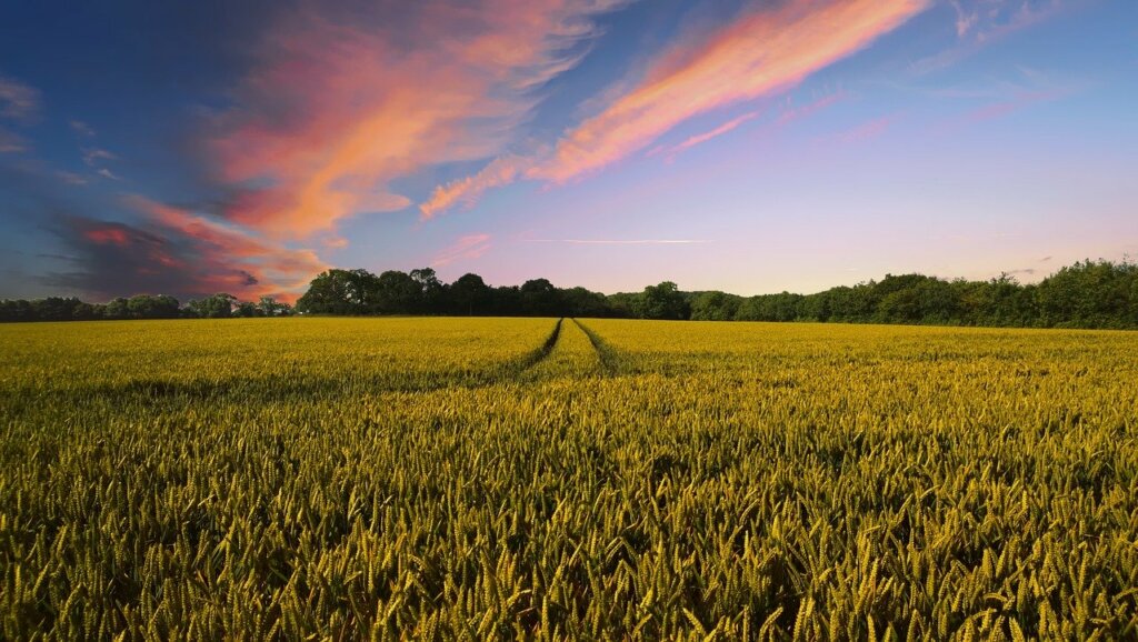Prepare to sell your land alone
