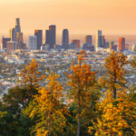 Los Angeles City Fall Foliage