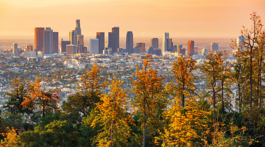Los Angeles City Fall Foliage