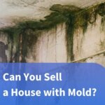 Ceiling with heavy mold