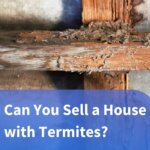Selling your house with termites