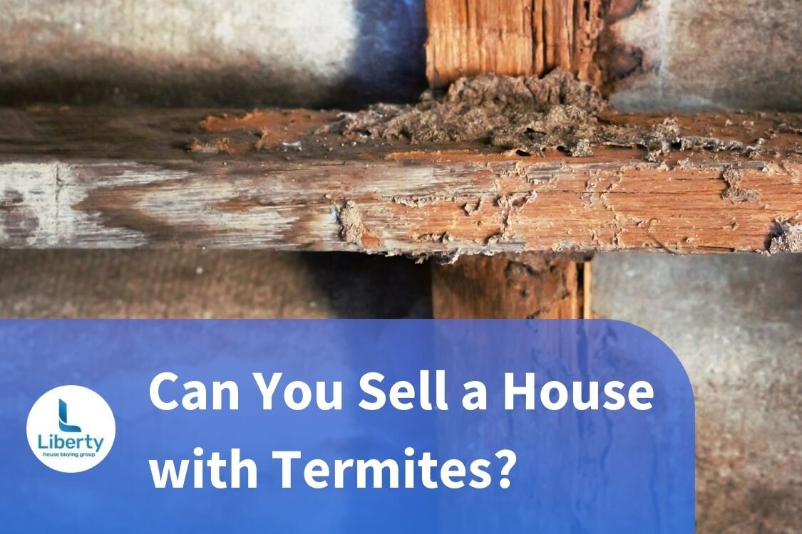 Selling your house with termites