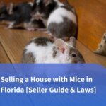 Selling a House with Mice