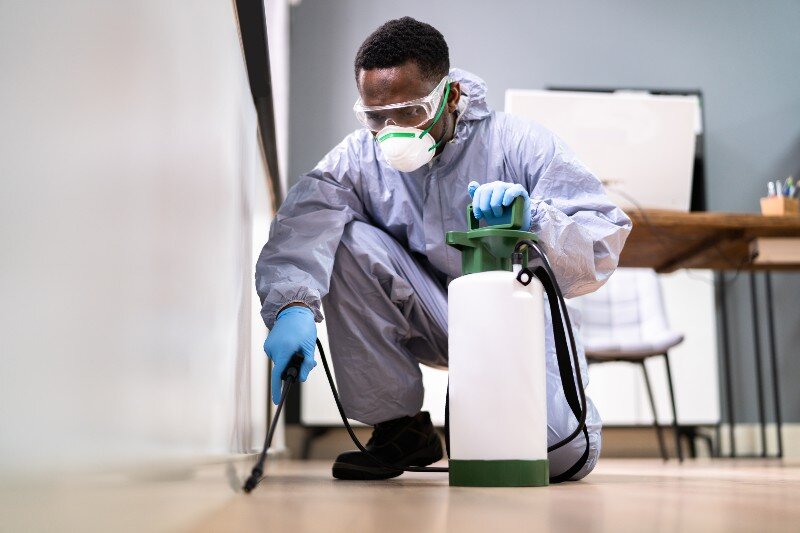 A professional cleaner getting rid of cigarette smell.