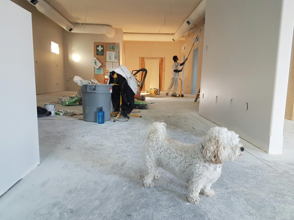Rick Buys Homes - Home Maintenance