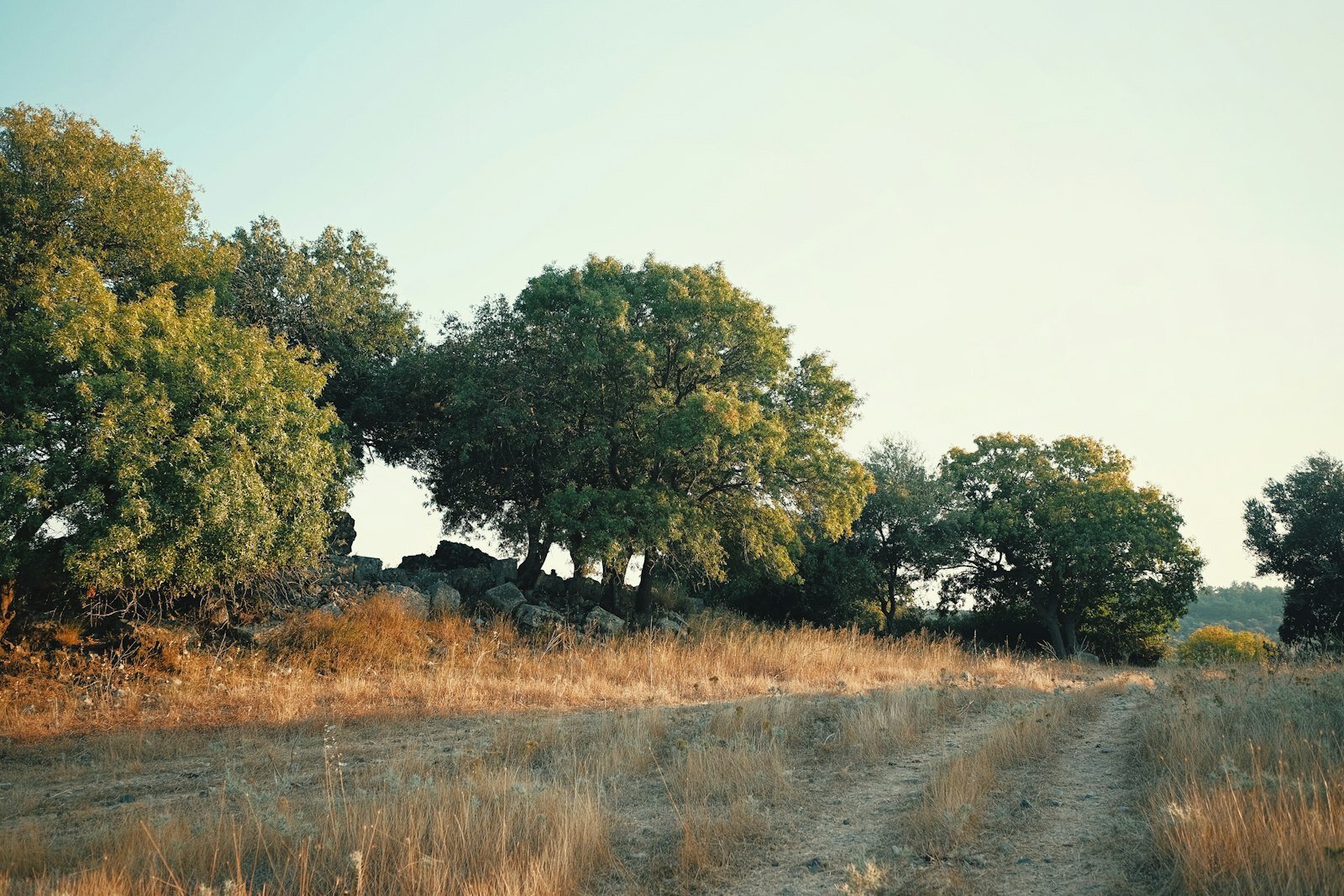 Land & building lots