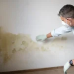 How to Sell a Peoria House With Mold, Smoke Damage, or Water Damage