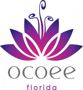 we buy houses ocoee