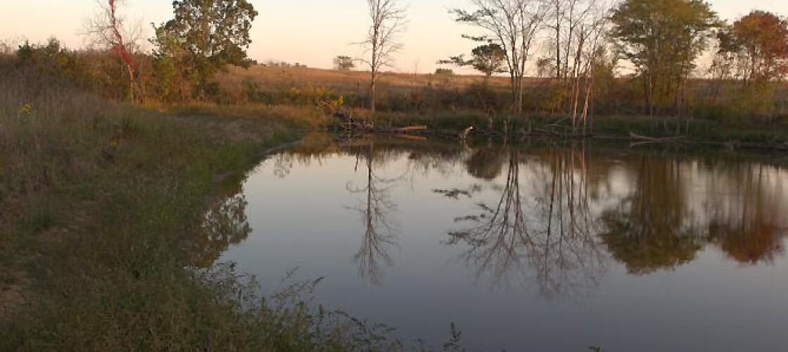 Bunch Hollow Conservation Area in Carroll County, north of Carrollton