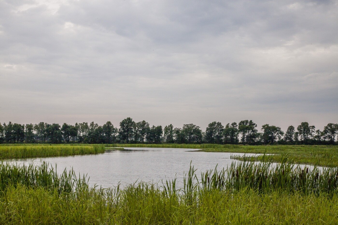 Pershing State Park in near Laclede