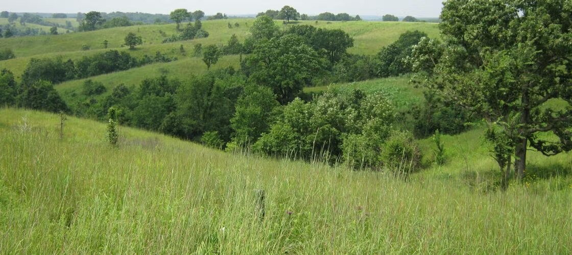 Union Ridge Conservation Area in near Greencastle