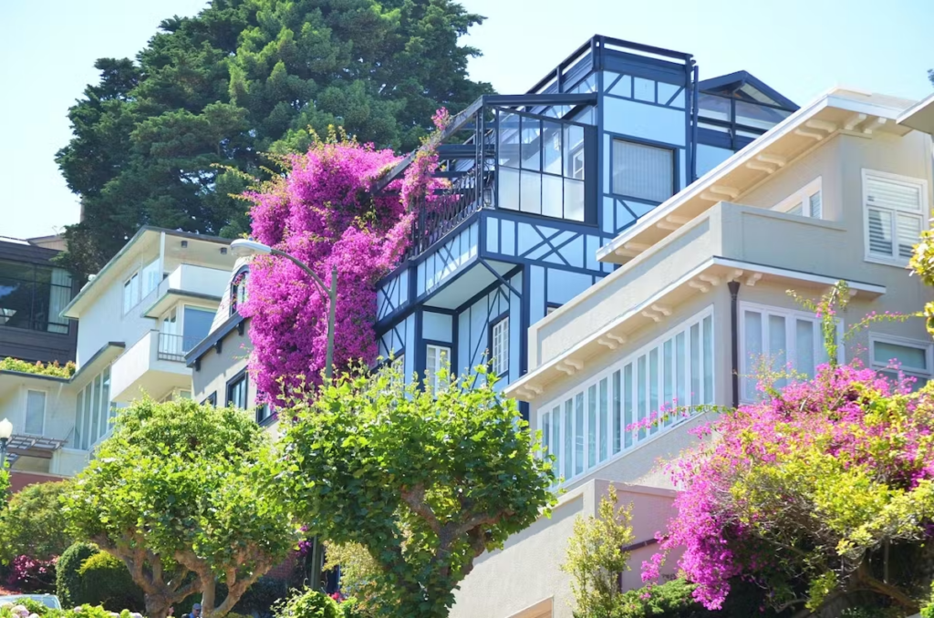 San Francisco real estate agent