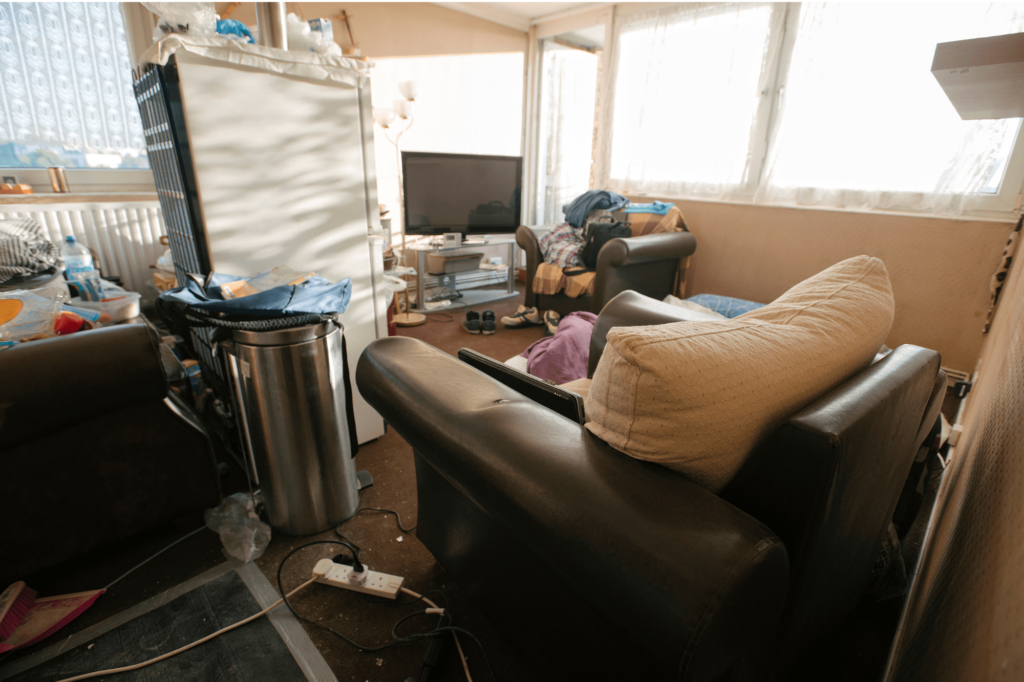 No need to clean your house