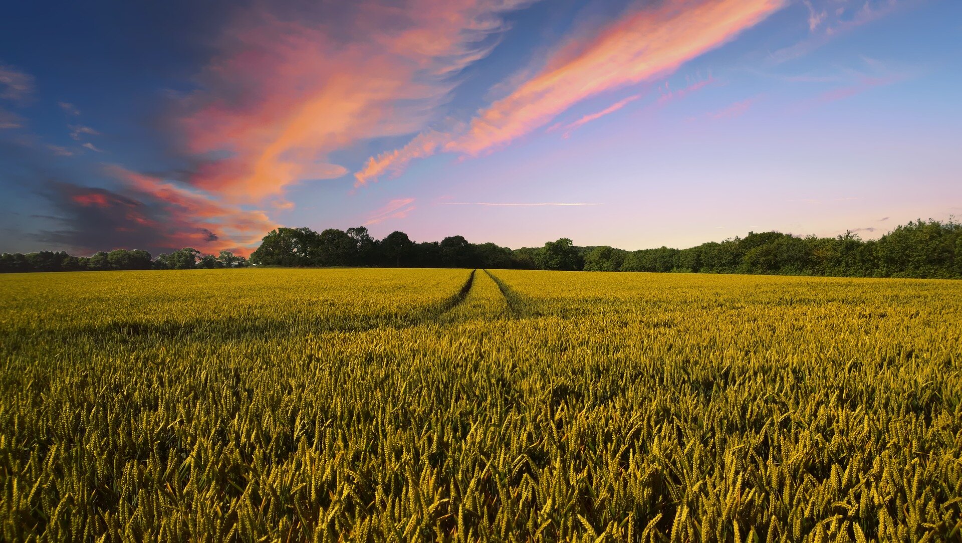 Land Buyers in SC
