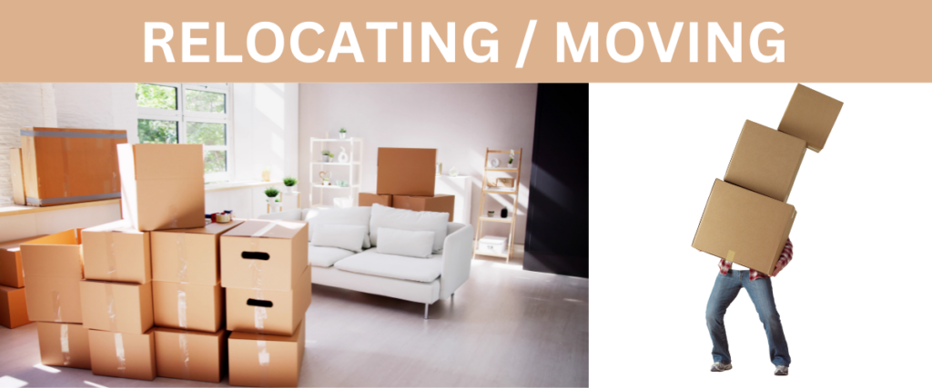 Stressed homeowner carrying heavy stack of moving boxes from living room during Edmonton relocation
