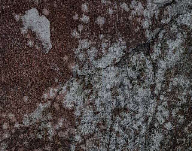 What is Mold?