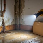 How Water Damage Affects Home Inspections and Sales