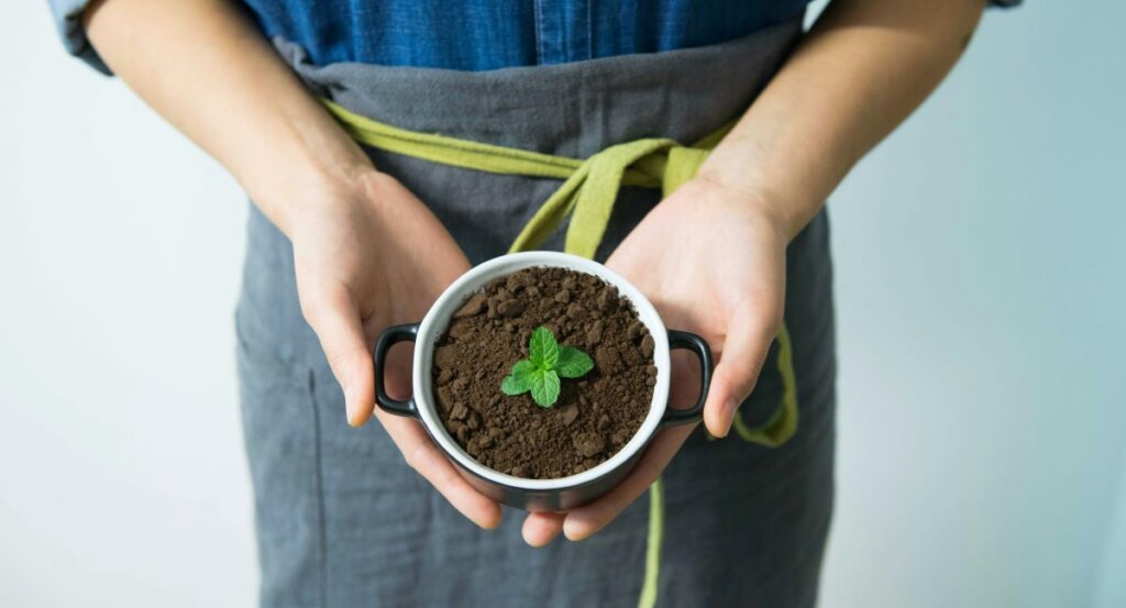 A woman holding a plant