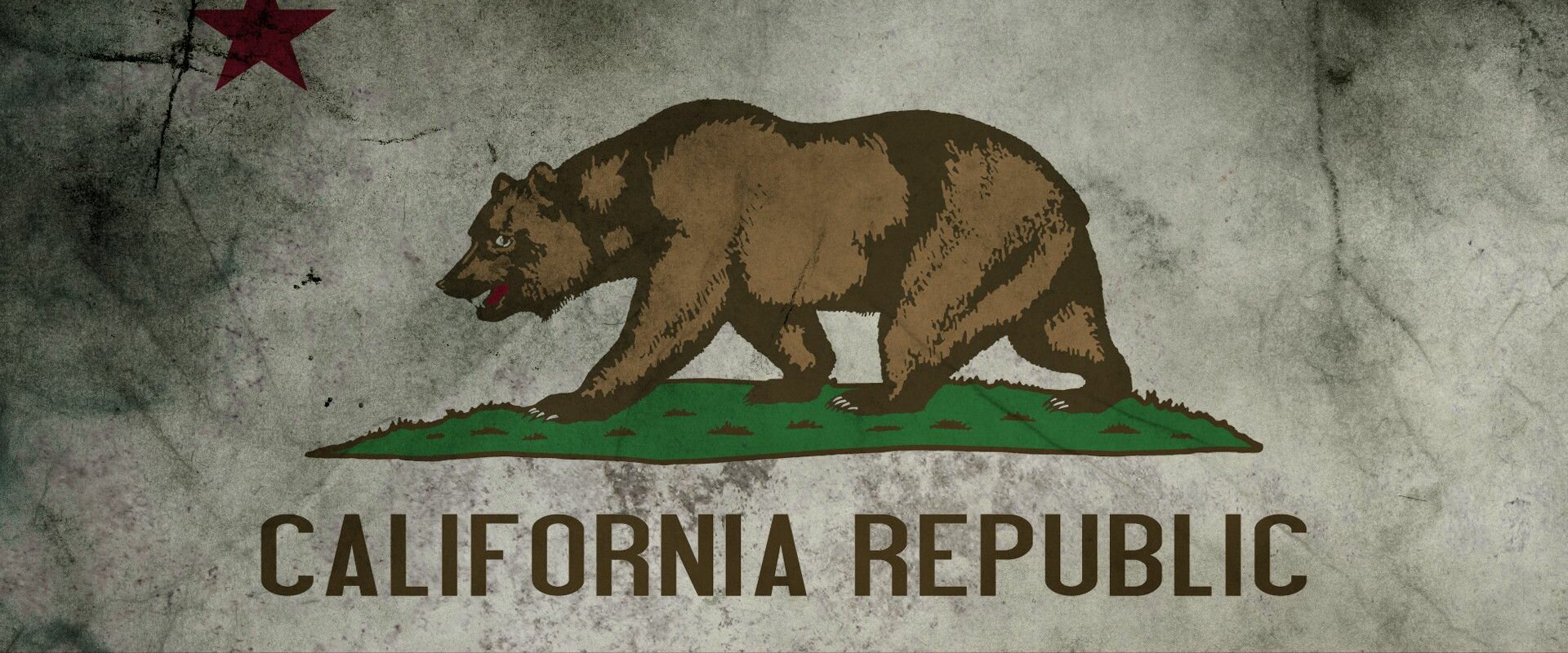california-flag-we-buy-houses-and-property-for-cash-
