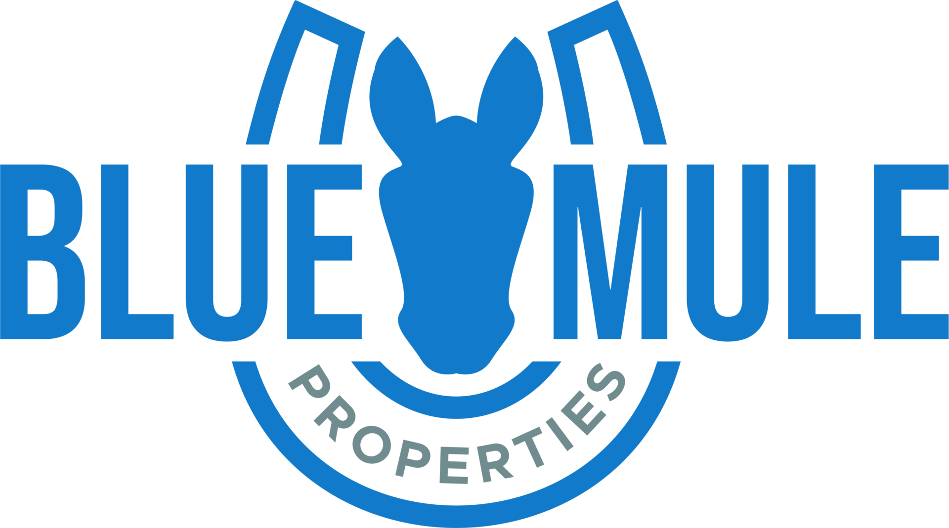 Blue Mule Properties  logo