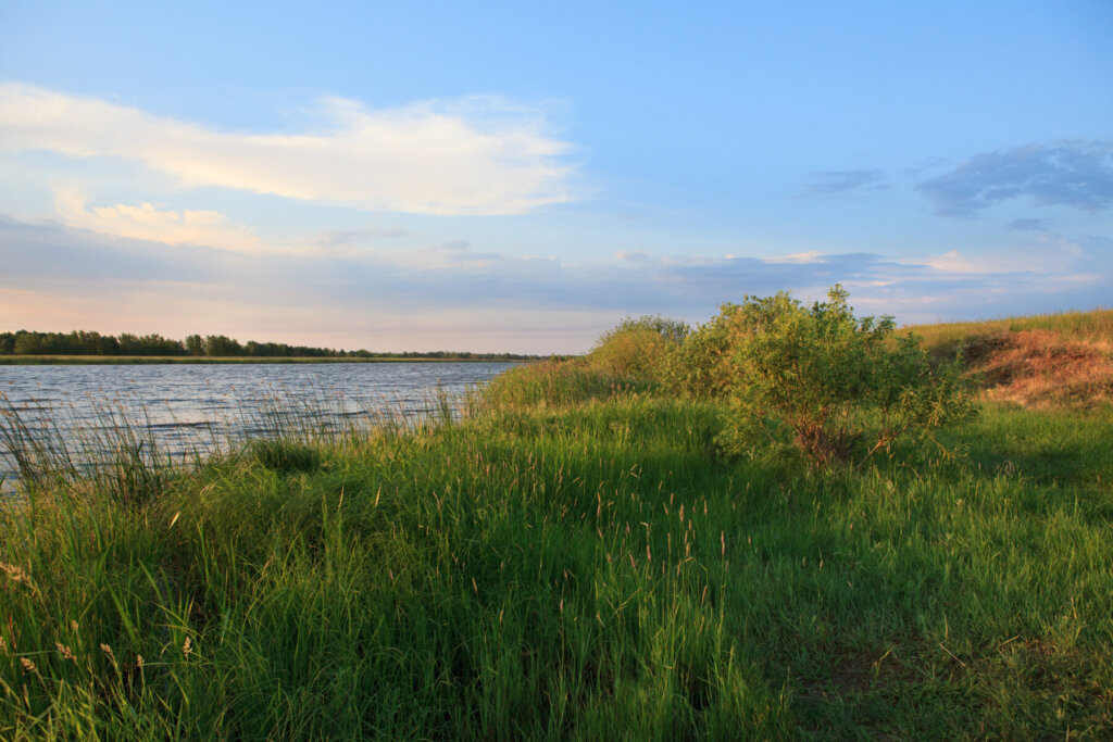 home buyers for relocation needs Florida