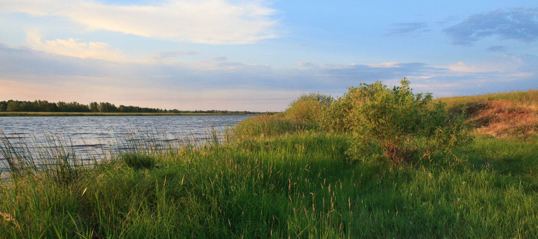 home buyers for relocation needs Miami