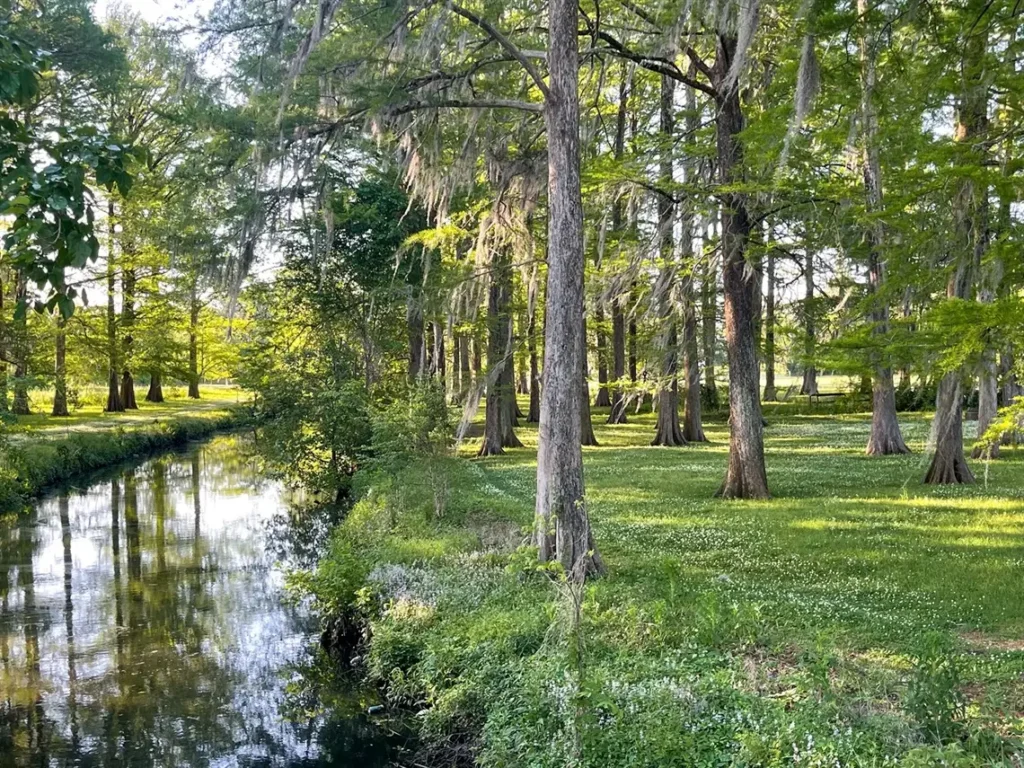 Image of Wallace Park