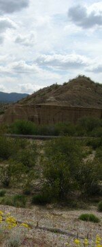 What is the average cost of an acre of land in Arizona?