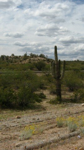 Closing costs on commercial properties can be high when you buy land in Arizona