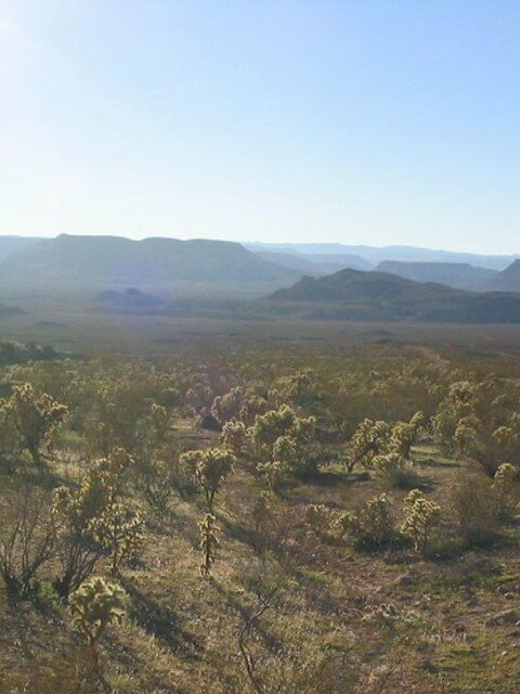 The county whole process to sell your land or city lots when left unchanged can be difficult