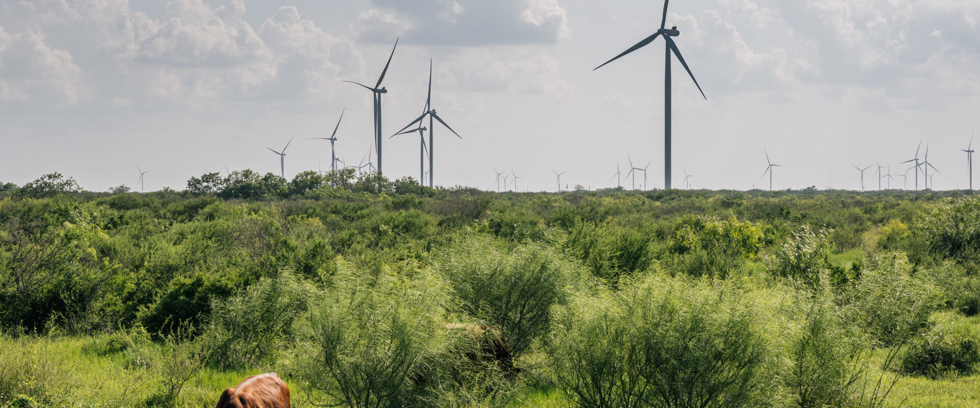 Cash for Texas Land