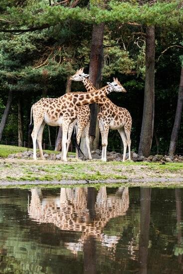 Facts to know about Fort Worth, Texas