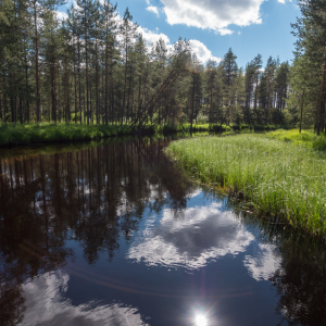 Quick Facts Fort Worth