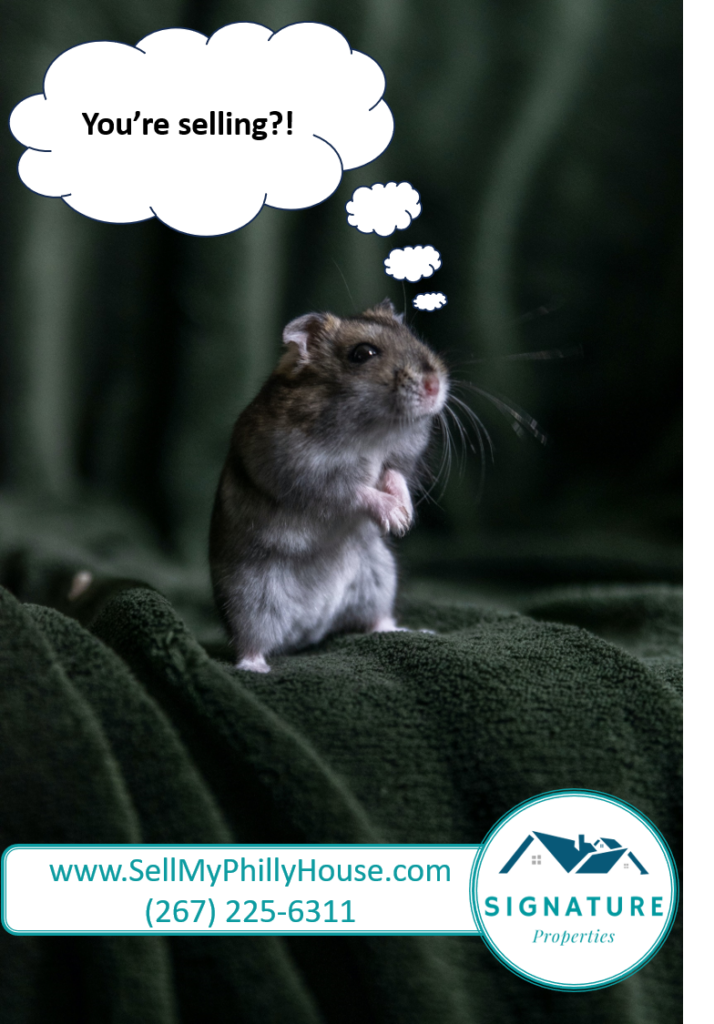 selling a house with mice pennsylvania