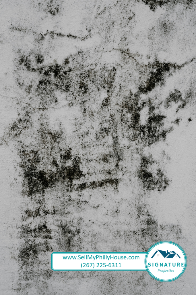 selling a house with black mold pennsylvania