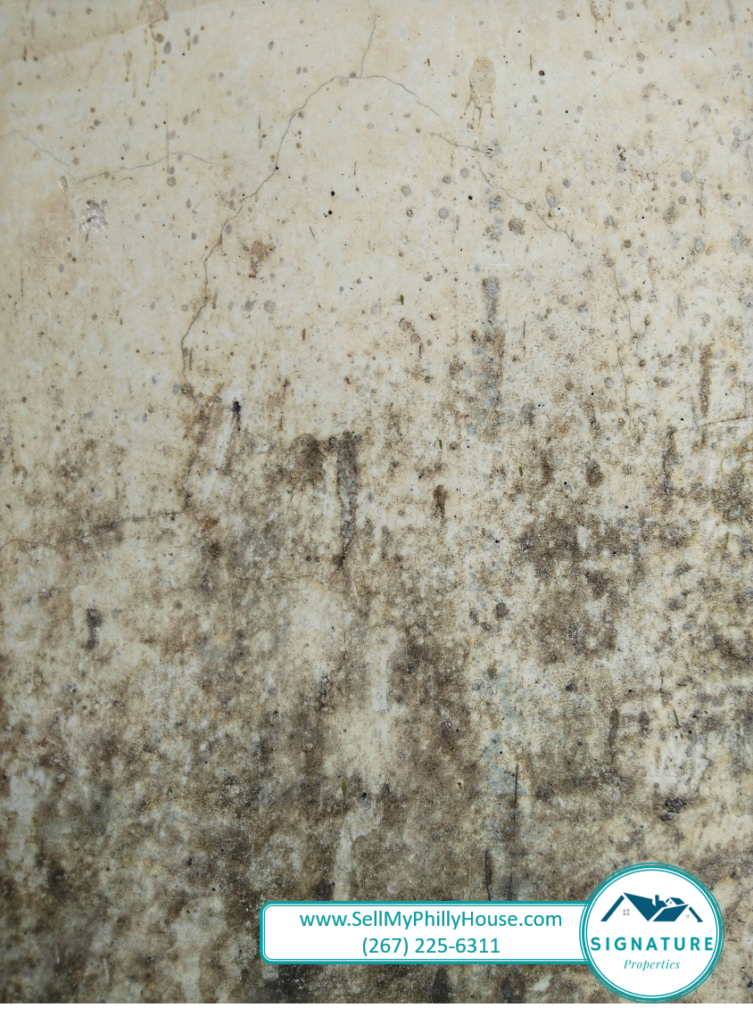sell my house with mold pa