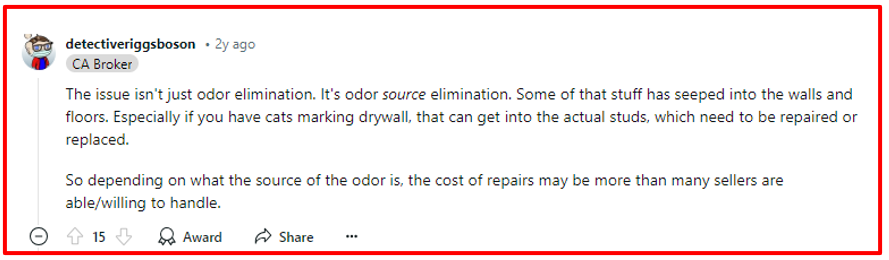 how to sell a home with bad carpet