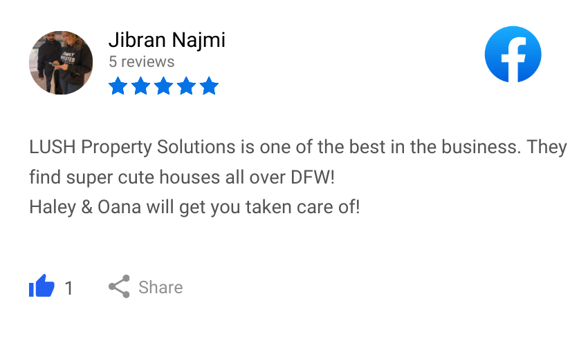 Jibran Najmi review