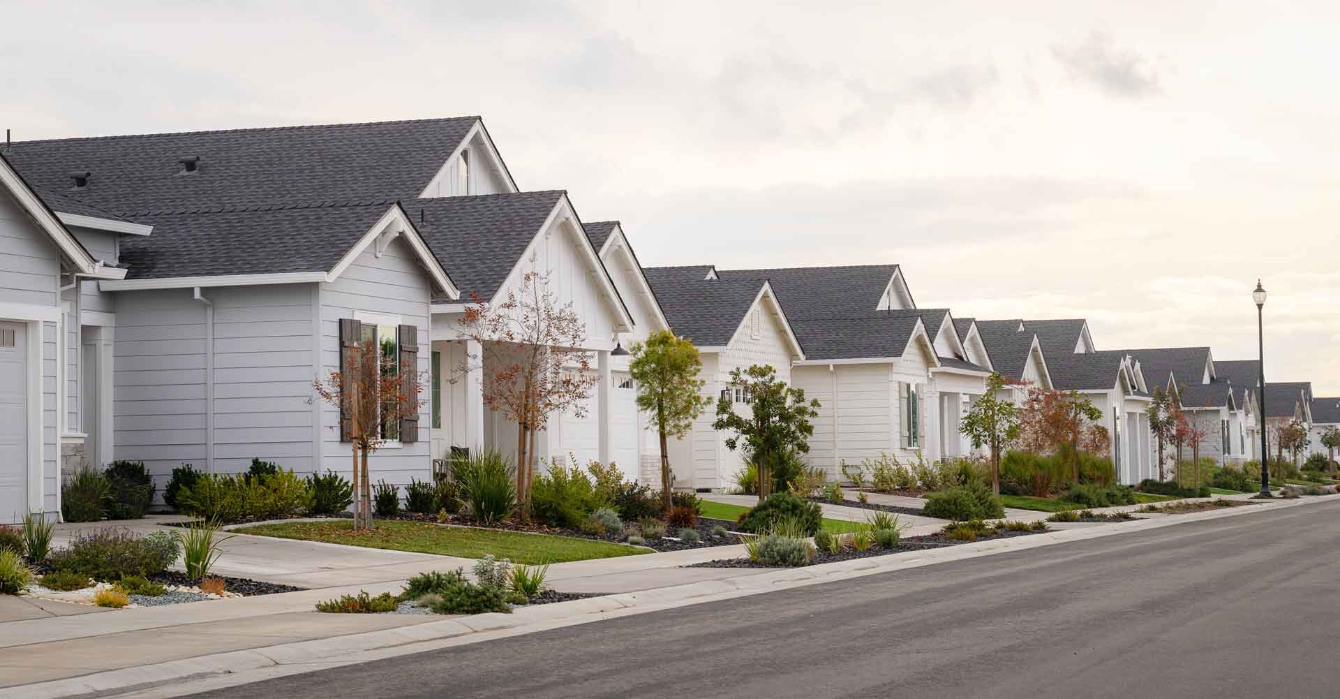 row of newly-built suburban homes with freshly-planted landscaping on an overcast day