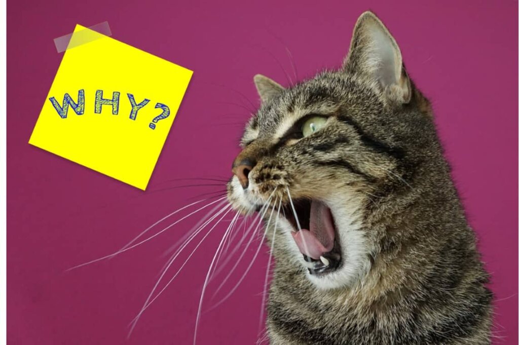 Why Won’t My House Sell in Metro Detroit? Fast Home Offer Guys