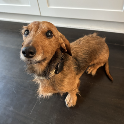 Wally, We Buy 502 Head of Security