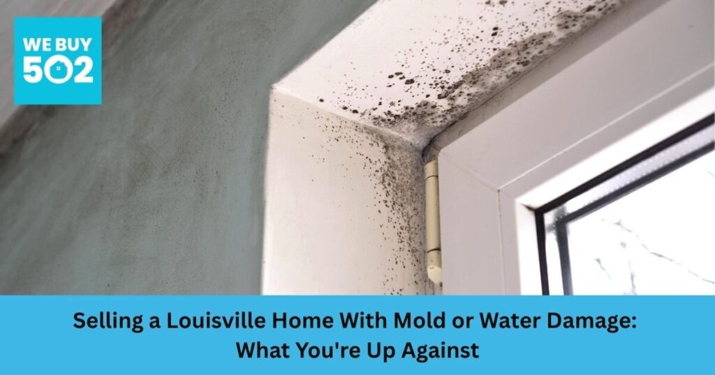 Mold and water damage on basement wall of Louisville Kentucky home