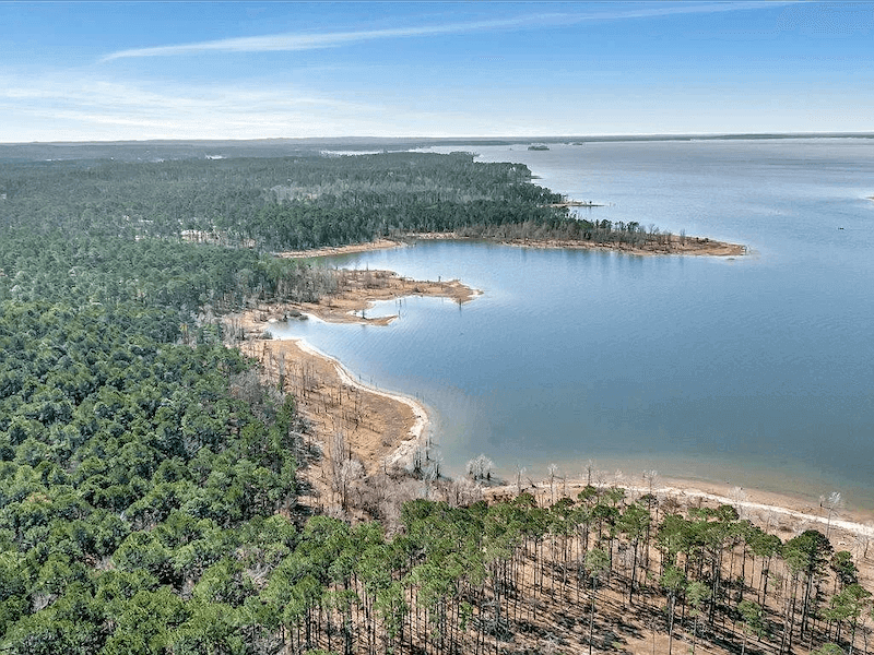 0 Us Highway 96 Cres #222, Brookeland, TX 75931