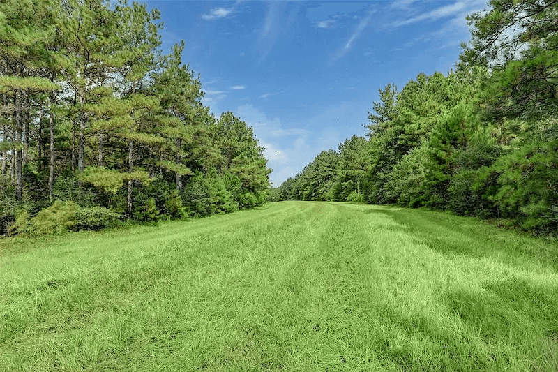 20760 Old Highway 105 E, Cleveland, TX 77328