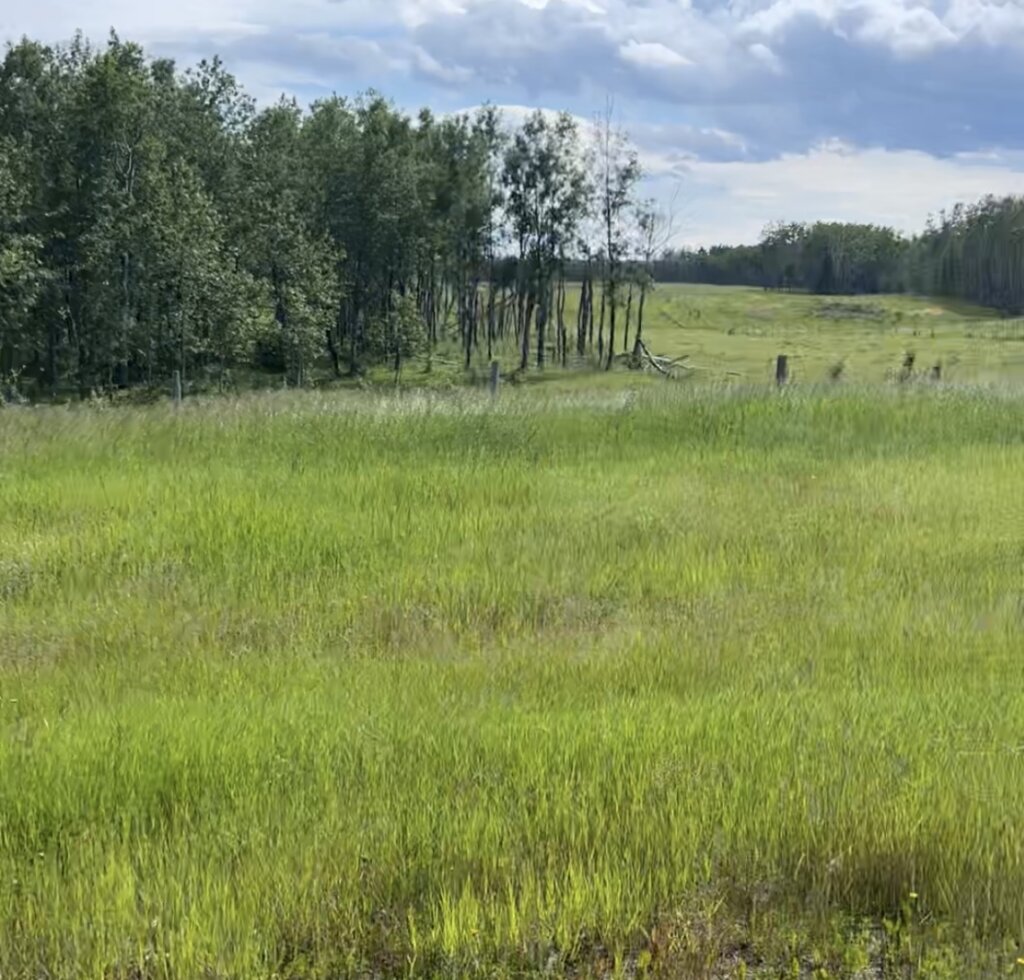 sell my land for cash alberta