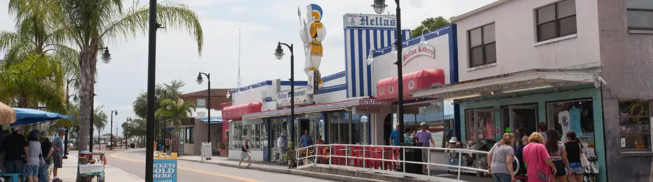 tarpon spring Feature